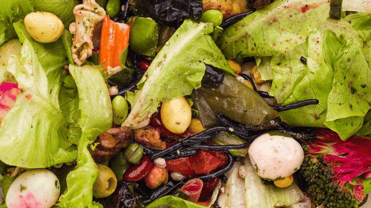 Pieces of food like lettuce, mushrooms, and beans in the trash representing food waste
